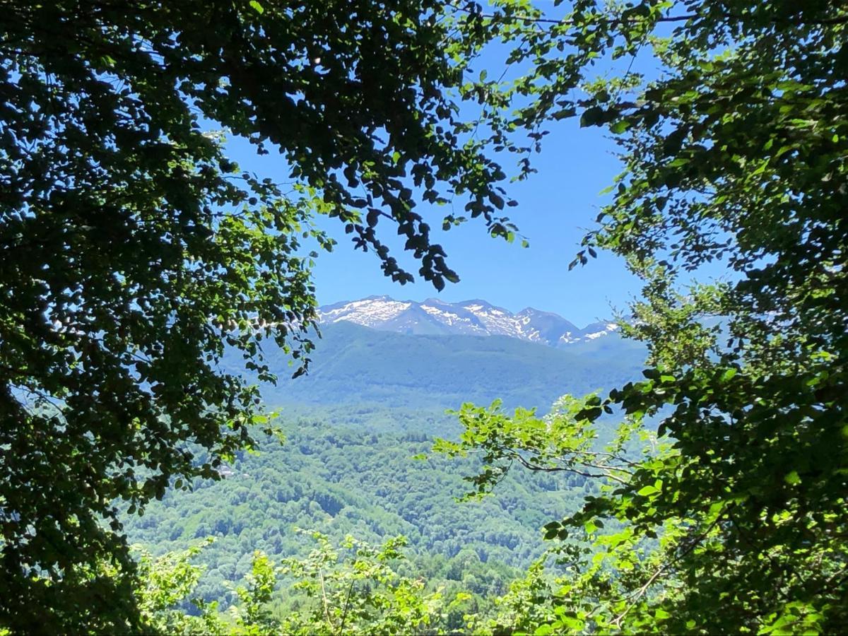 Fenêtre sur les Pyrénées Soulan (Hautes-Pyrenees) Exterior foto